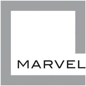Developer Logo 1