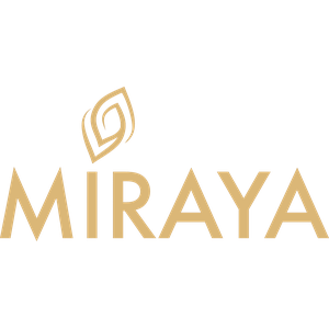 Developer Logo 1
