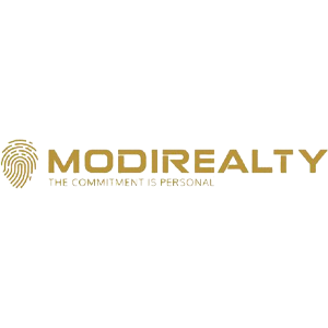 Developer Logo 1