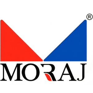 Developer Logo 1