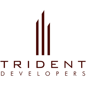 Developer Logo 1