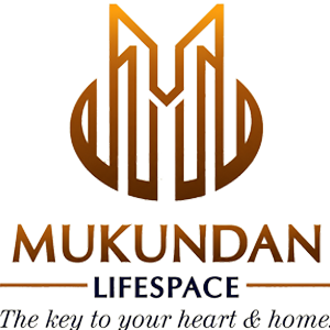 Developer Logo 1