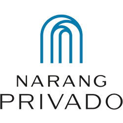 Developer Logo 1