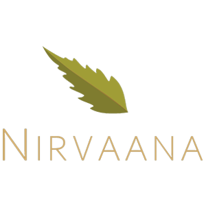 Developer Logo 1