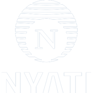 Developer Logo 1