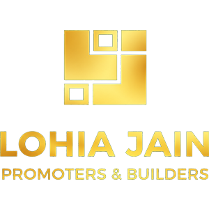 Developer Logo 1