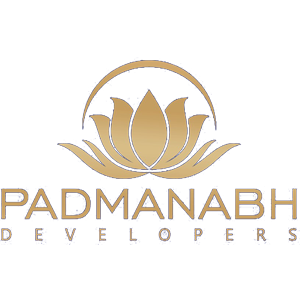 Developer Logo 1