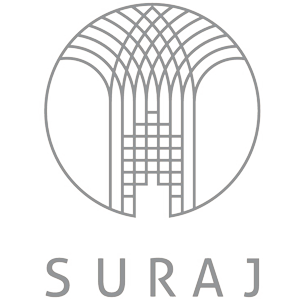 Developer Logo 1
