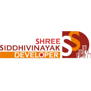 Developer Logo 1