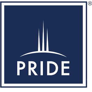 Developer Logo 1