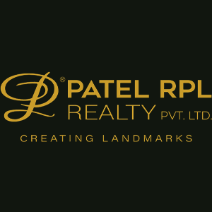 Developer Logo 1