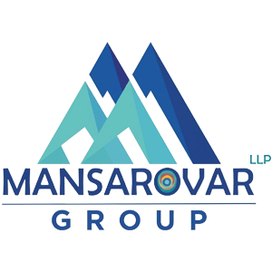 Developer Logo 1
