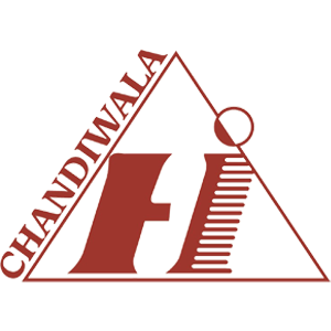Developer Logo 1
