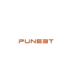 Developer Logo 1
