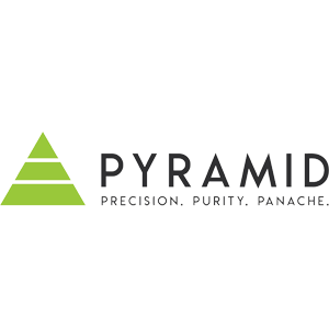 Developer Logo 1