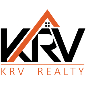 Developer Logo 1