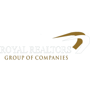 Developer Logo 1