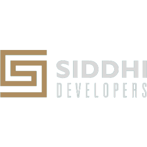 Developer Logo 1