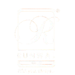 Developer Logo 1