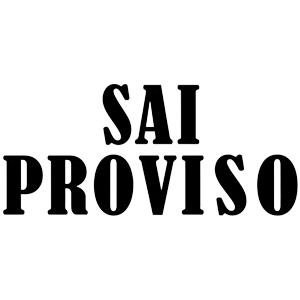 Developer Logo 1