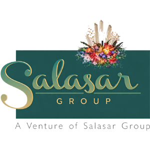Developer Logo 1