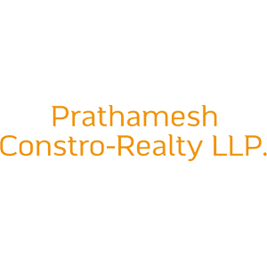 Developer Logo 1
