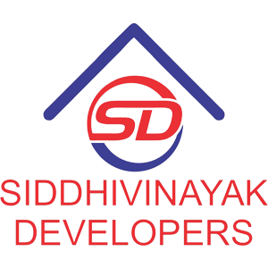 Developer Logo 1