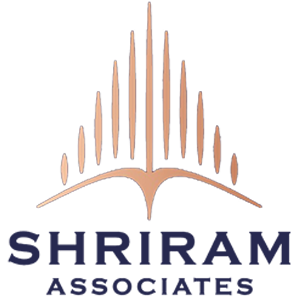 Developer Logo 1