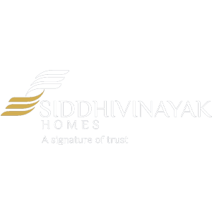 Developer Logo 1