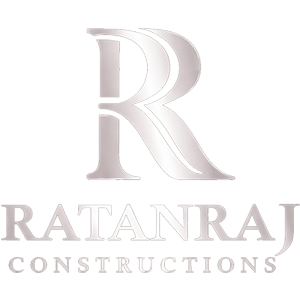 Developer Logo 1