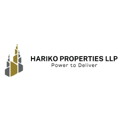 Developer Logo 1