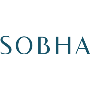 Developer Logo 1