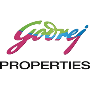 Developer Logo 1