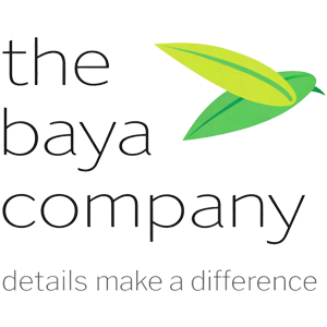 Developer Logo 1