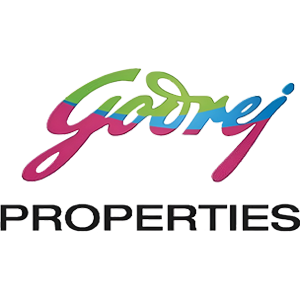 Developer Logo 1
