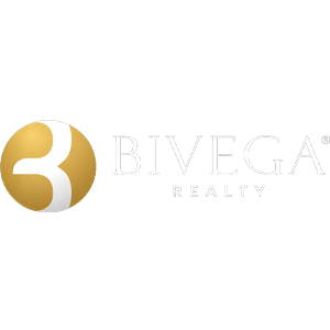 Developer Logo 1