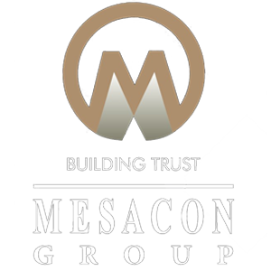 Developer Logo 1