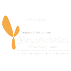 Developer Logo 1
