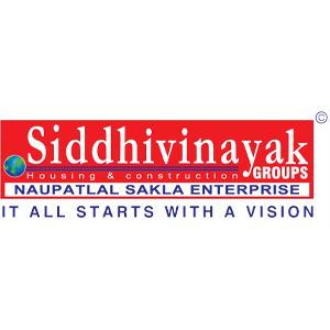 Developer Logo 1