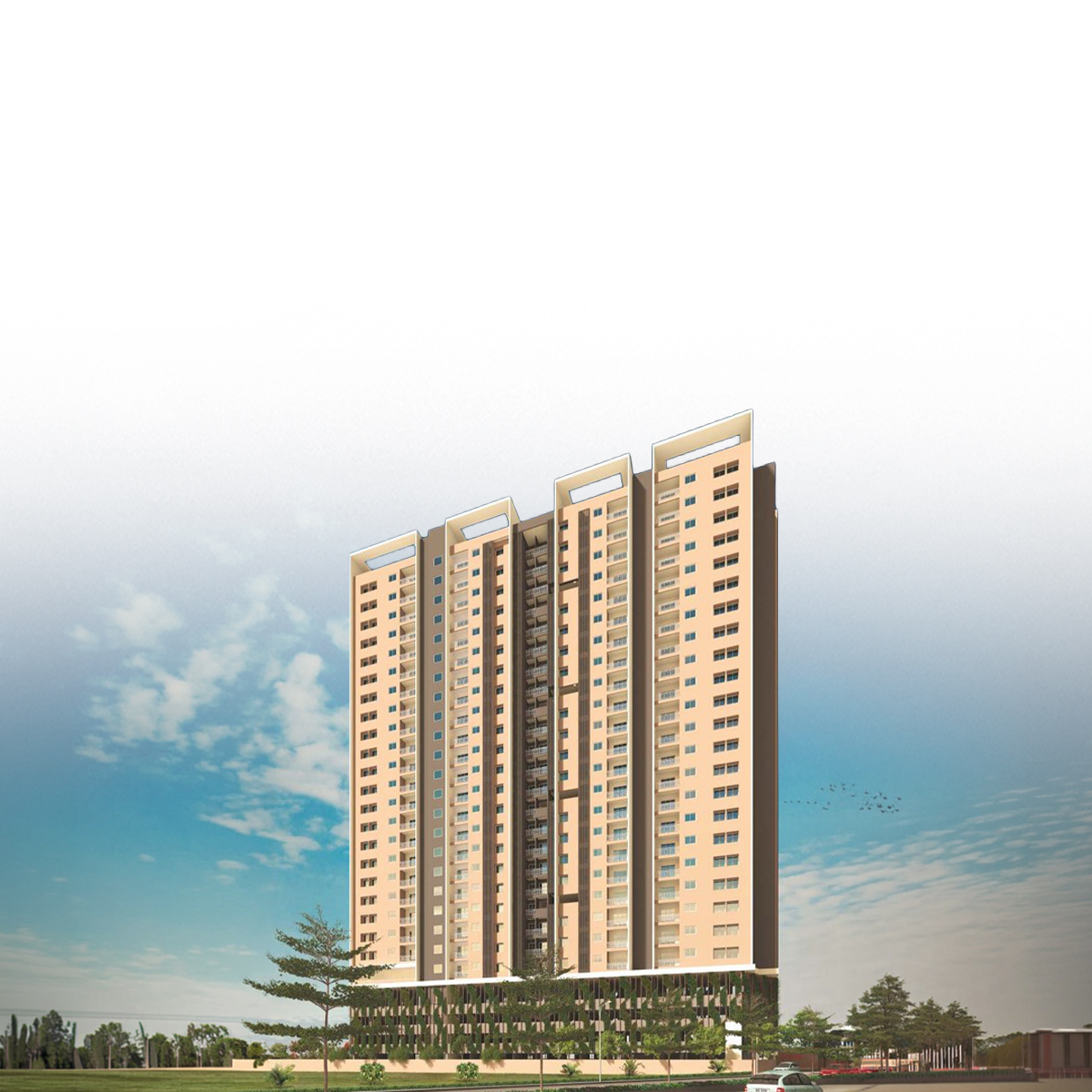 Param mobile banner