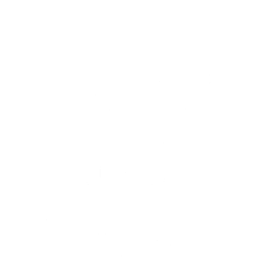 Project Icon