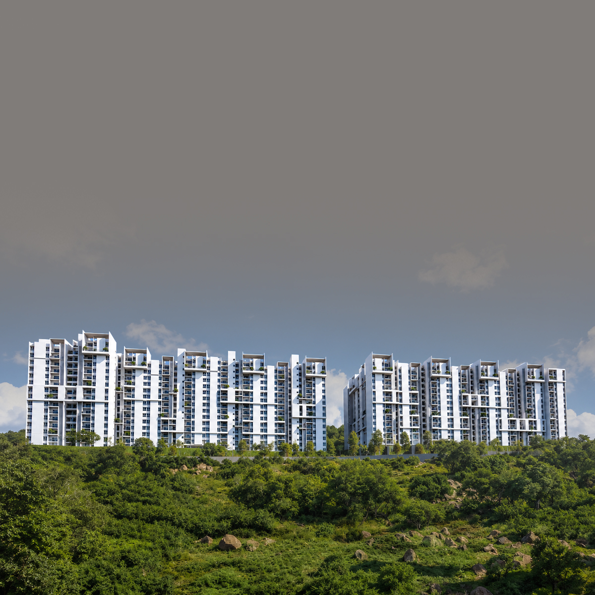 Rohan Saroha mobile banner