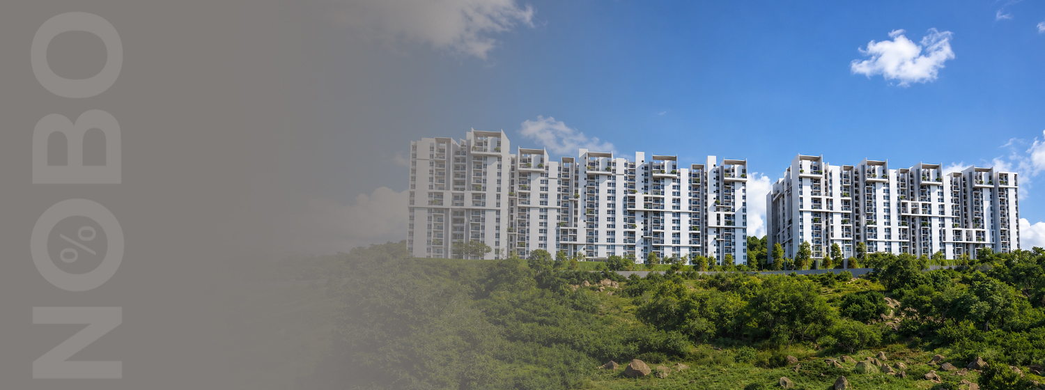 Rohan Saroha banner