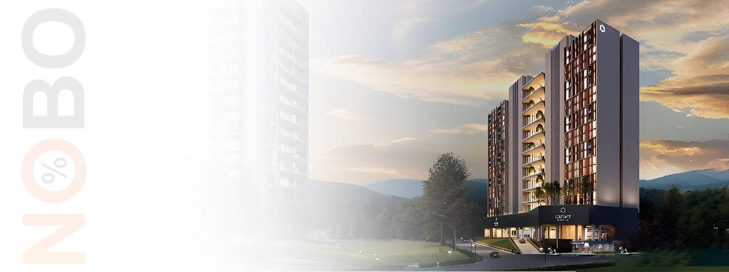 Solitaire Business Hub banner