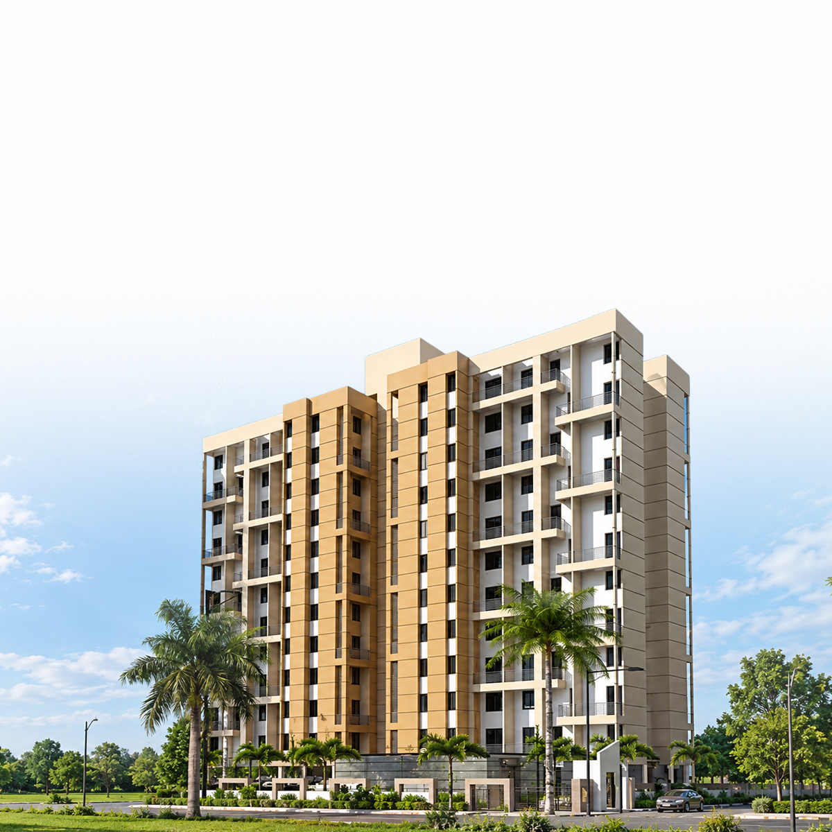 Solitaire Palms